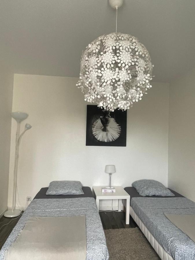 סאן לואיס Studio 5 Near Basel Airport מראה חיצוני תמונה