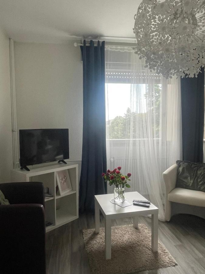 סאן לואיס Studio 5 Near Basel Airport מראה חיצוני תמונה