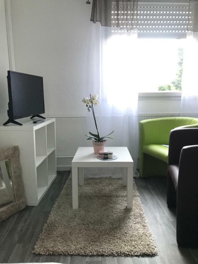 סאן לואיס Studio 5 Near Basel Airport מראה חיצוני תמונה